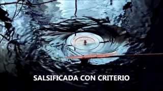 The Parisians- Bobby Montez