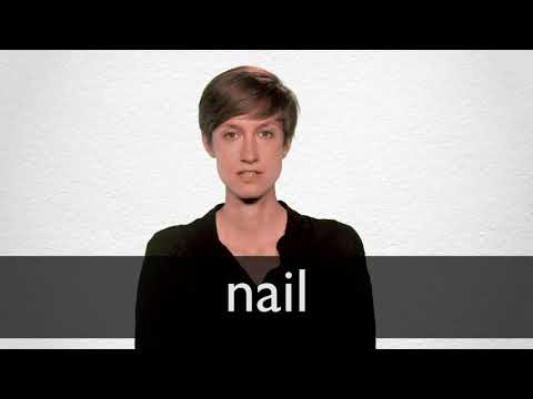 Nail definition and meaning | Collins English Dictionary