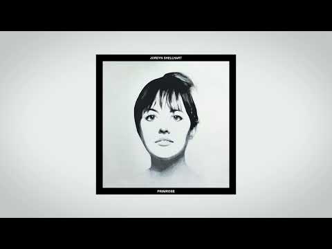 Dreams Chase You - Jordyn Shellhart