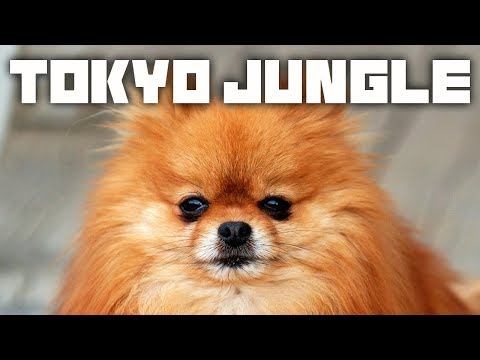 GUESS WHO'S BACK! - Let's Play - Tokyo Jungle - 1