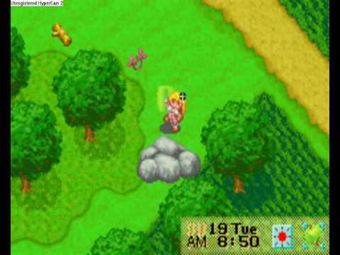 Harvest Moon- Behind the giant winter spring rock.