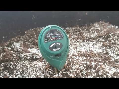 1 plant/1 tente/1 livre challenge tente #marshydro