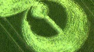 Latest 2011 Crop circles in Stonehenge, Wiltshire, UK - 21 June