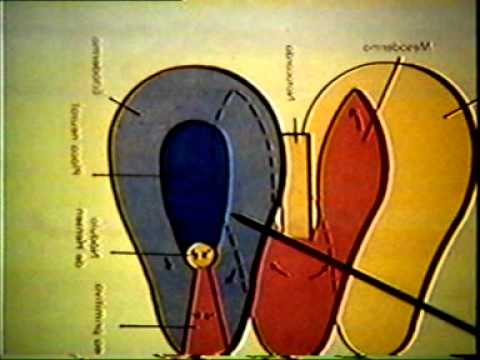 Dr Eduardo Kremenchutzky - Embriología humana