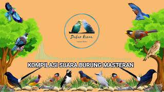 Download lagu KOMPILASI SUARA BURUNG MASTERAN mp3 Download lagu KOMPILASI SUARA BURUNG MASTERAN mp3