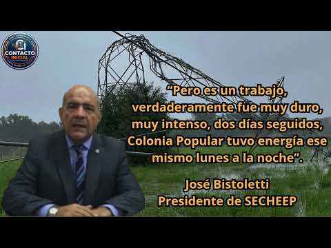 El viento las hizo como si fueran de papel a las torres. (José Bistoletti - Pres de SECHEEP)