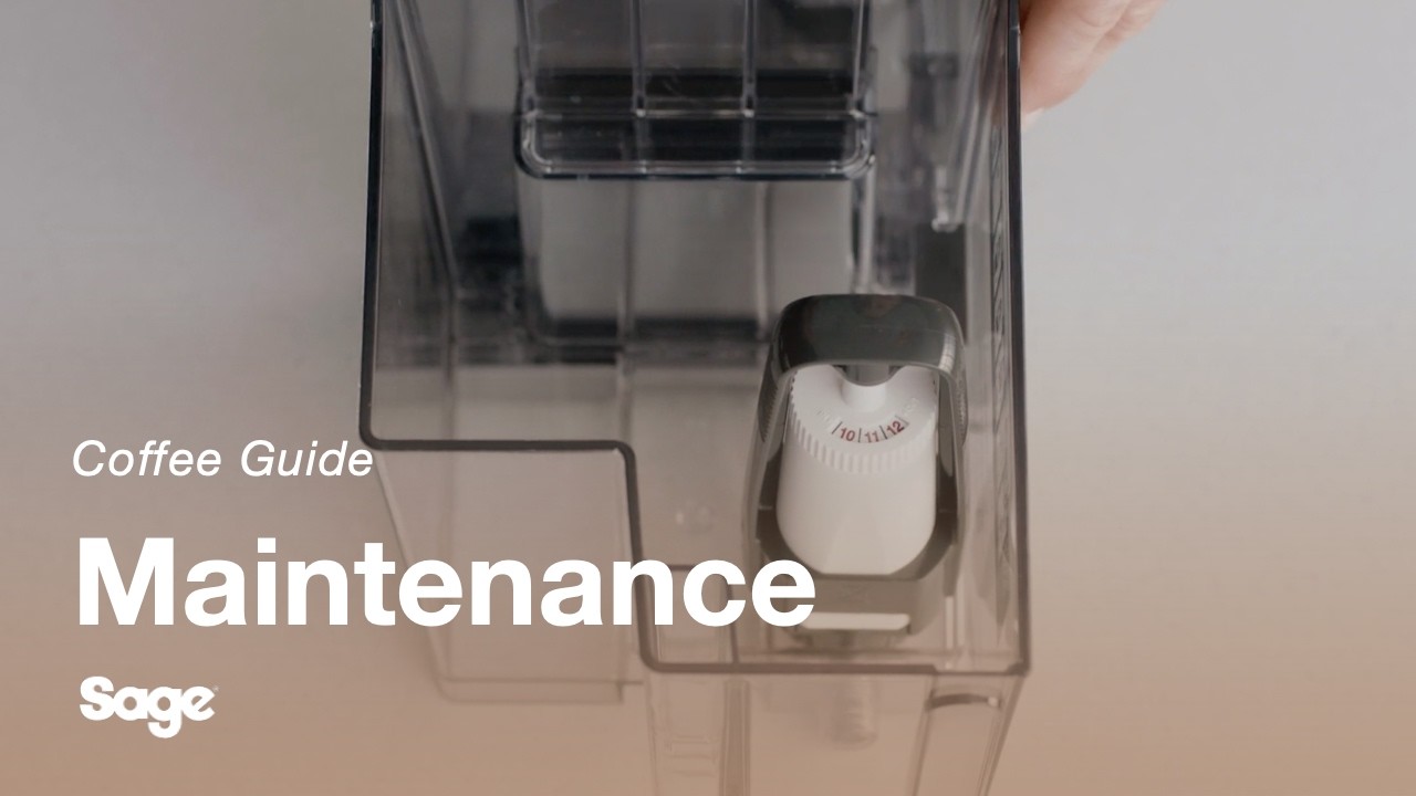 How to replace the water filter