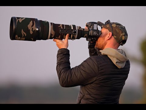 Générique Photo Animalière