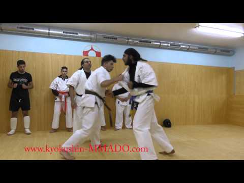 MMA & kyokushin Frankfurt