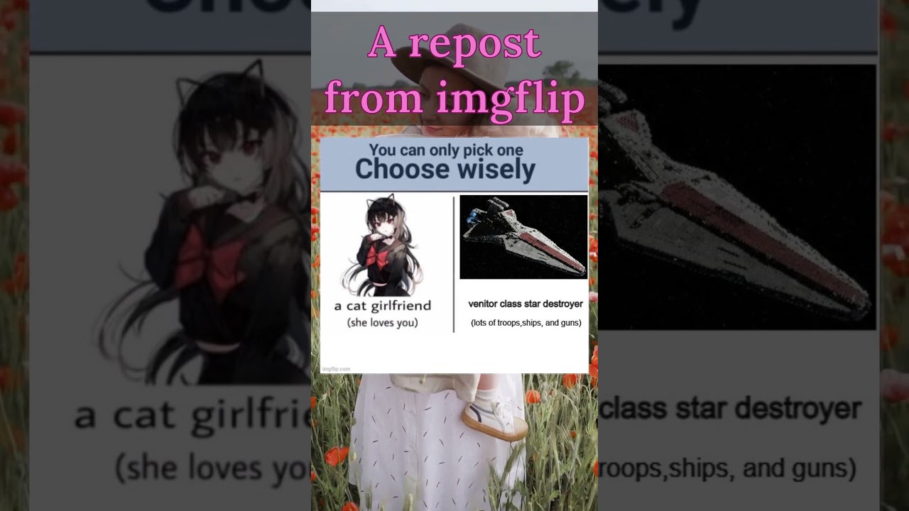 A repost from imgflip