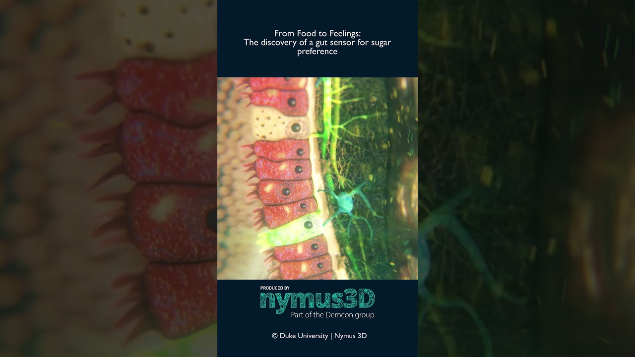 Enjoy your weekly SciArt clip! | Science Animation