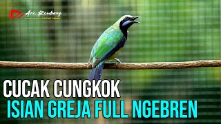 Download lagu CUNGKOK GACOR ISIAN ISTIMEWA GREJA TARUNG DAN FULL NEMBAK NGEBREN mp3 Download lagu CUNGKOK GACOR ISIAN ISTIMEWA GREJA TARUNG DAN FULL NEMBAK NGEBREN mp3