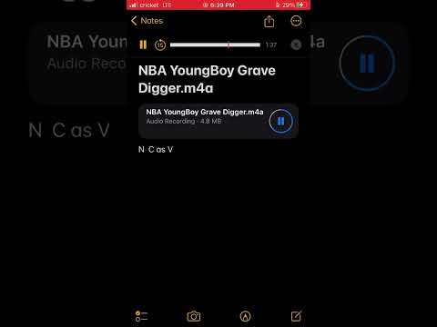 Blicky ￼ moody gang Kairo