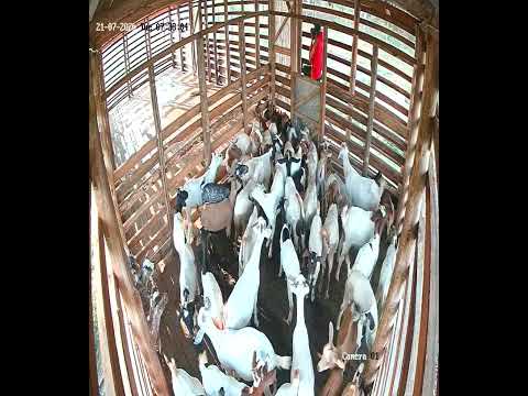 Overcrowding problem.