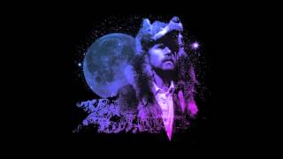 Gruff Rhys - American Interior