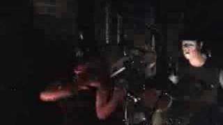 SGM - The Donkey Headed Adversary of Humanity (Live 2005)