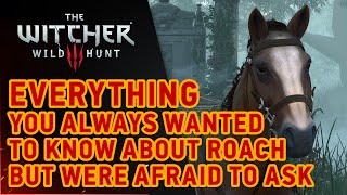 The Witcher 3: Wild Hunt - Roach