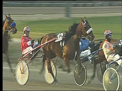 Trotto 17/02/2017 - 5ª corsa