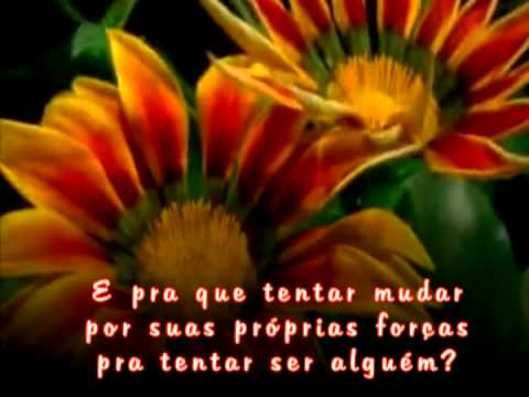 Ele Escolheu Você video