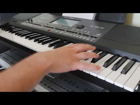 SARBA DOGARILOR - BOGDAN ICHIM