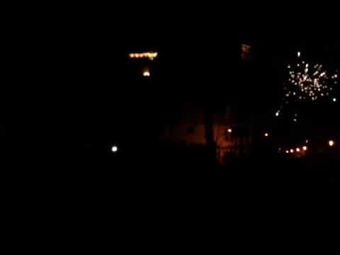 Big Silver Chrysanthemum