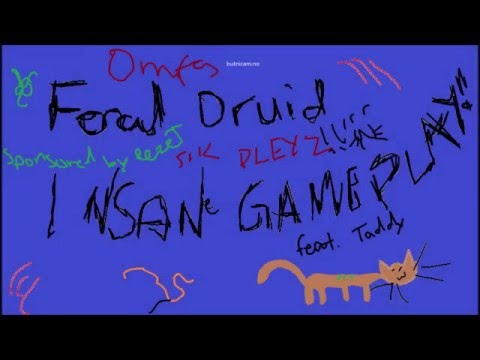 Insane Feral Druid guide