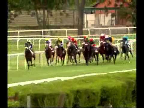 rm 20140518 07 p 131derbyitalianotrisstr