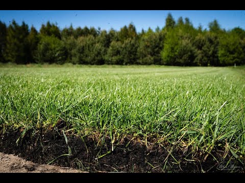 Trawa z rolki - Trawniki Jaworznik - video