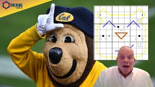 The Puzzle of the Golden Bear