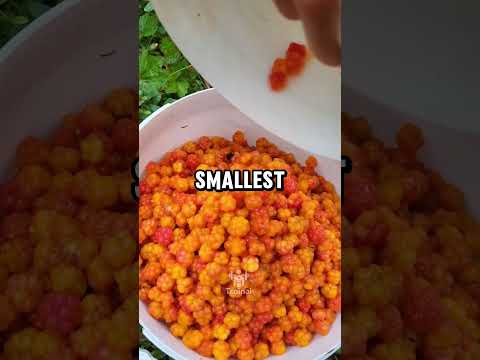 Fruit Facts You Didn’t Know!