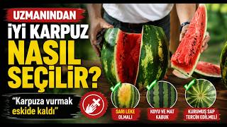 Uzmanından İyi Karpuz Nasıl Seçilir Tavsiyesi Karpuza Vurmak Eskide Kaldı
