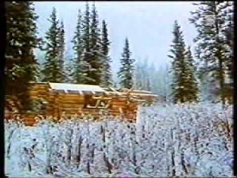 Ein Blockhaus am Yukon