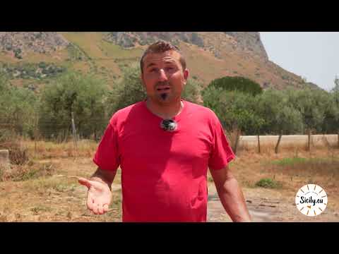 L'agricoltura tropicale in Sicilia. Custodi del Territorio: Rosolino Palazzolo