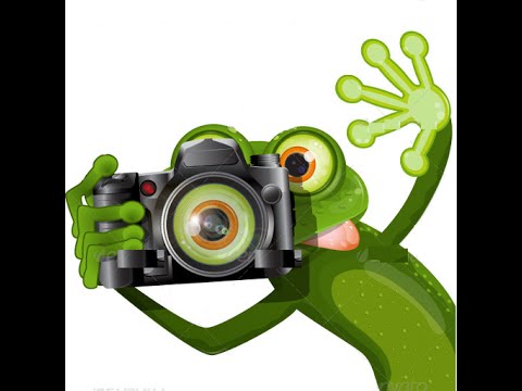 Cartoon Camera Frames video thumbnail