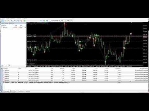 Video Quantum Forex EA
