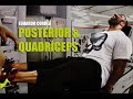 Treino e dicas: Posterior e Quadríceps