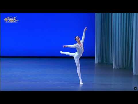 Dmitry Vyskubenko (Russia) - Siegfried Variation | XIV Moscow Ballet Competition, Senior Round 3