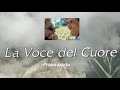La Voce del cuore - prima parte - 1995 - Gianni Morandi