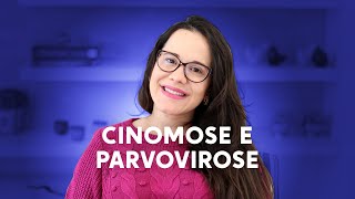 Cinomose e parvovirose