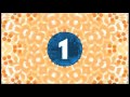 Jedynka Ident Jesień 2012