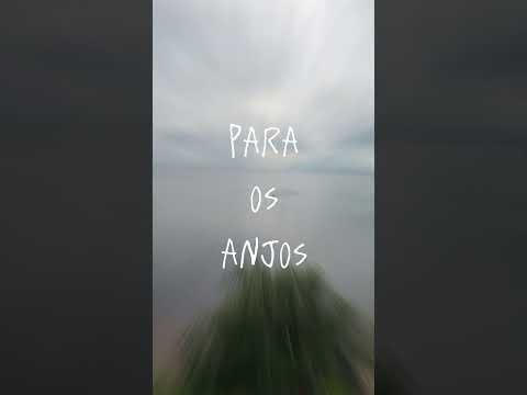 #Rio tefé Amazonas