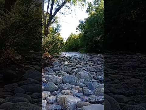 Mientras tanto el río en Anisacate, Córdoba, Argentina #river #rio #cordoba #meditación #relax