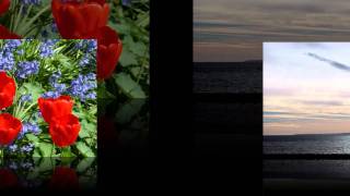 Humble Yourself - Kelly Willard