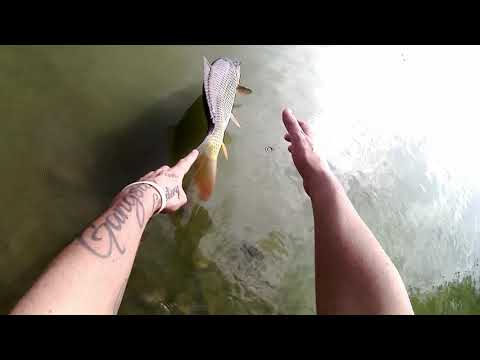 Backholl-Rybaření..s tátou zase na Lipně..