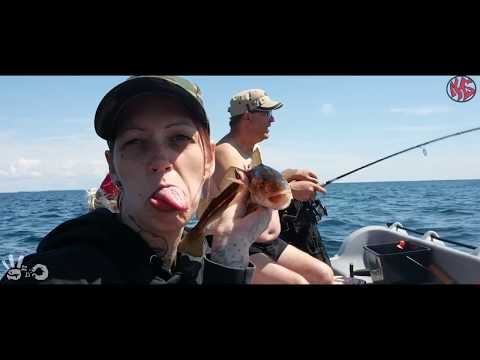 Angel Lied Rauf aufs Meer  /  Lehefx  Angler Rap  #angeln