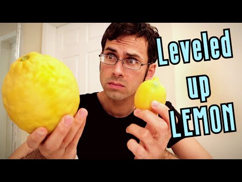 PONDEROSA LEMON - Trying a GIANT Lemon Hybrid (& Candied Lemon Peel Recipe!) - Weird Fruit Explorer