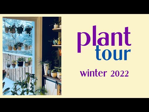 House Plant Tour - Winter 2022 | #philodendron #hoya #planttour