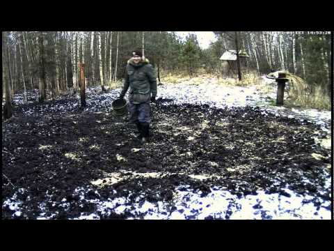 download lagu mp3 mp4 Looduskalender, download lagu Looduskalender gratis, unduh video klip Looduskalender