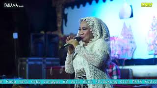 Download lagu THE IDEAL MAN - TANAMA music - ALFIAN IBNU HAFIDZ CIRCUMCISION - BANYUMANIS - DONOROJO - JEPARA mp3 Download lagu THE IDEAL MAN - TANAMA music - ALFIAN IBNU HAFIDZ CIRCUMCISION - BANYUMANIS - DONOROJO - JEPARA mp3