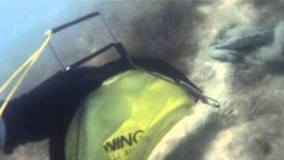 Fun with GoPro - Blue Swimmer Crabbing by scoopnet & glove.